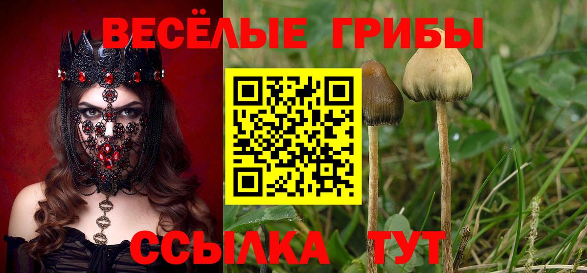 Славянск-на-Кубани  Псилоцибиновые грибы ЛСД  Галлюциногенные грибы MAGIC MUSHROOMS  Вход с VPN 