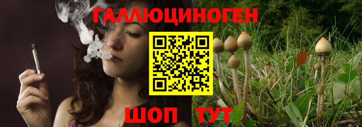 Галлюциногенные грибы GOLDEN TEACHER Славянск-на-Кубани